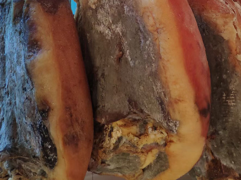 乌蒙山脉生态养殖